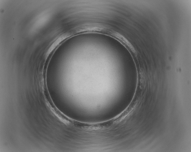 X0000080160890200612081332