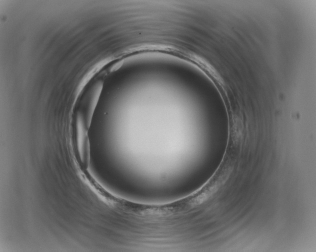 X0000080160898200612081332