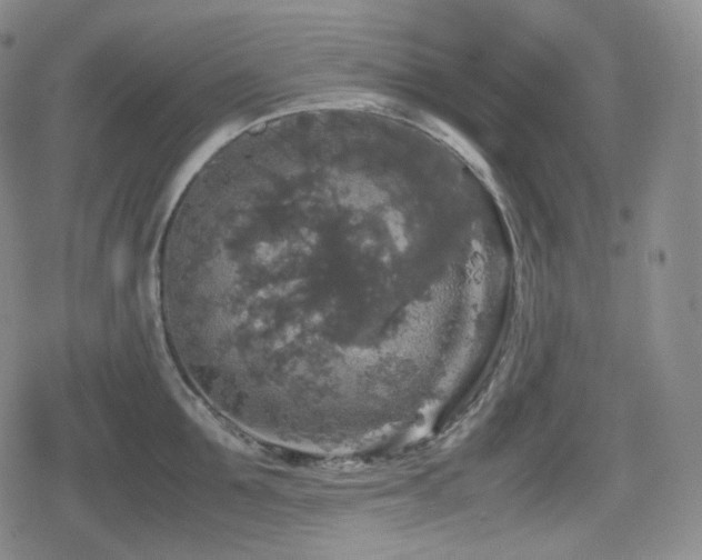 X0000080160907200612081332