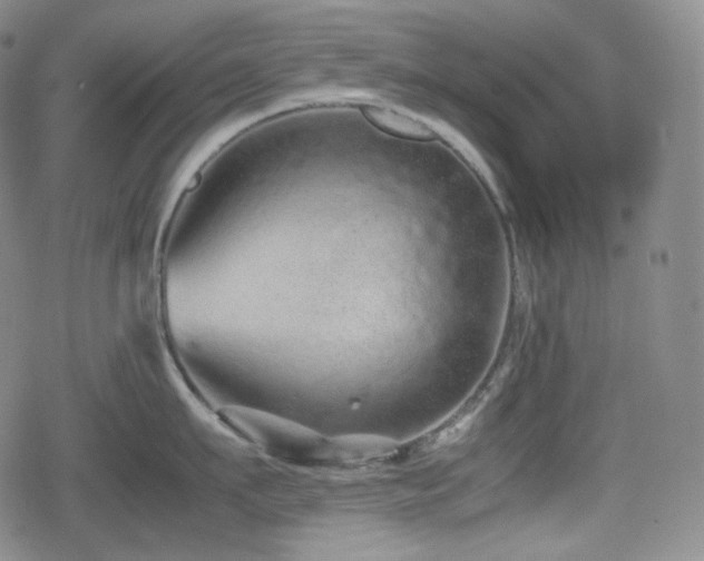 X0000080160911200612081332