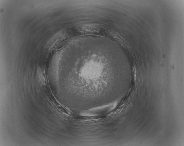X0000080160915200612081331