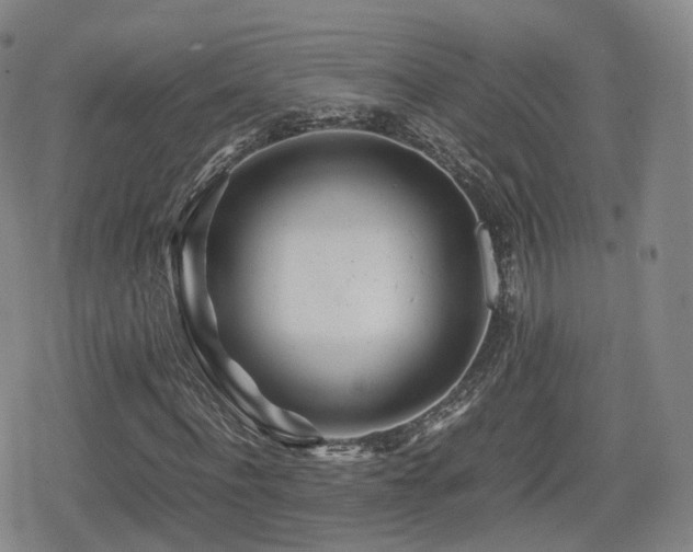 X0000080160916200612081331