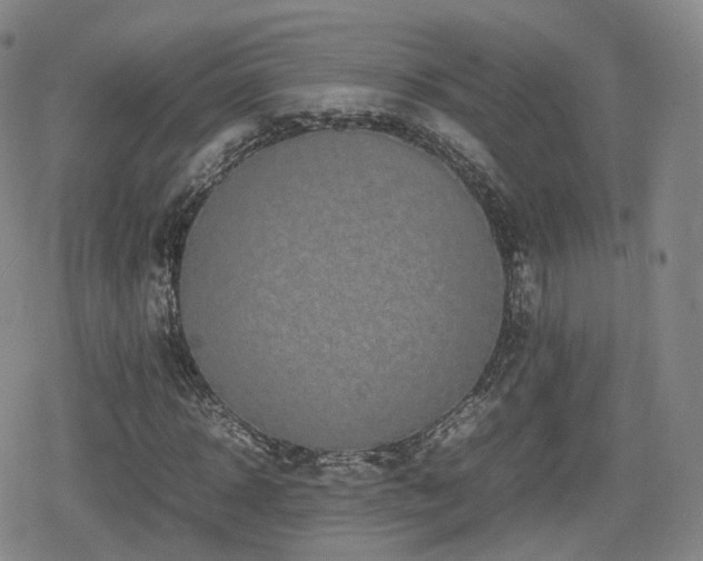 X0000080160918200612081331