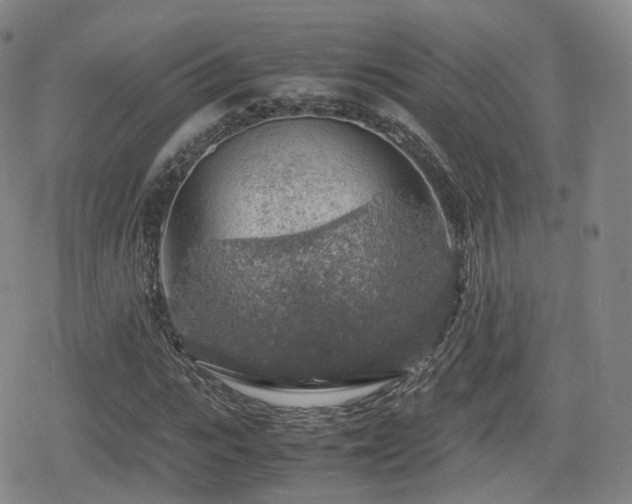 X0000080160919200612081331