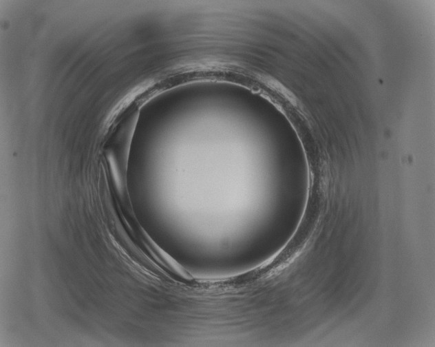 X0000080160922200612081331