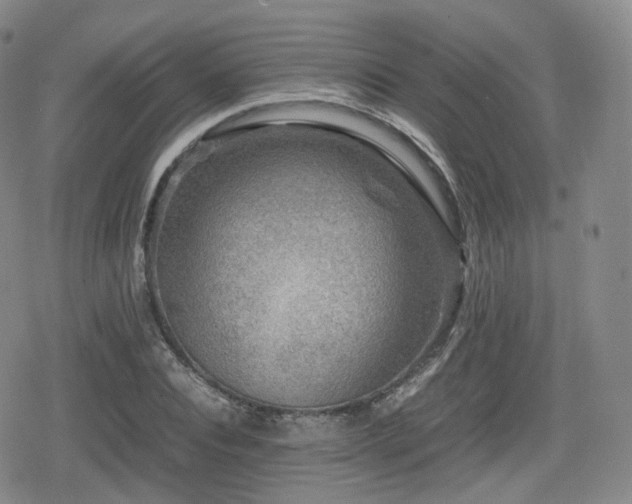 X0000080160928200612081331