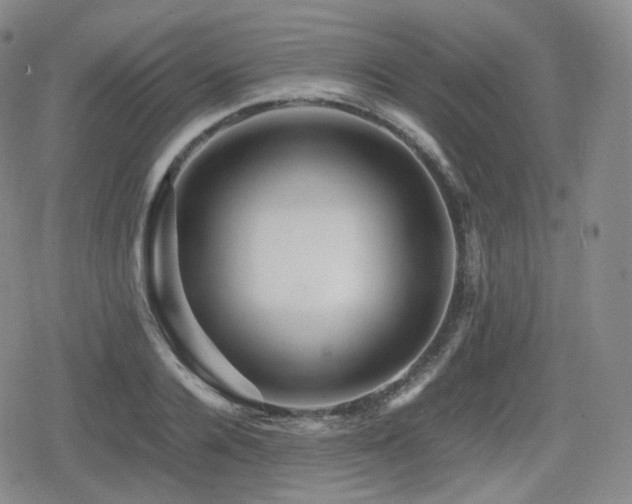 X0000080160936200612081332