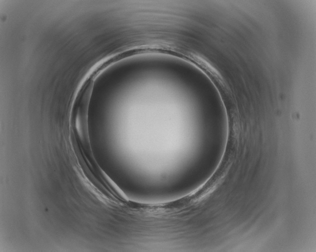 X0000080160940200612081332