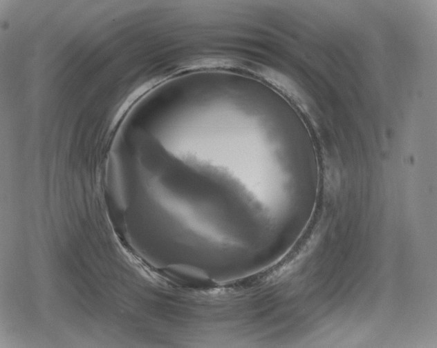 X0000080160945200612081332