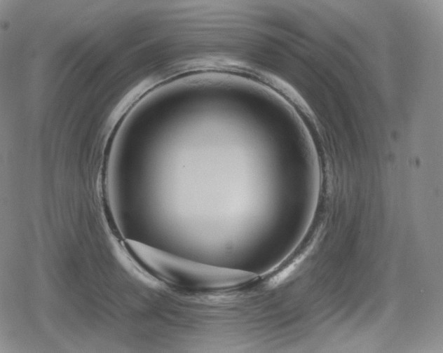 X0000080160946200612081332
