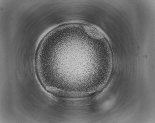 X0000080160951200612081332
