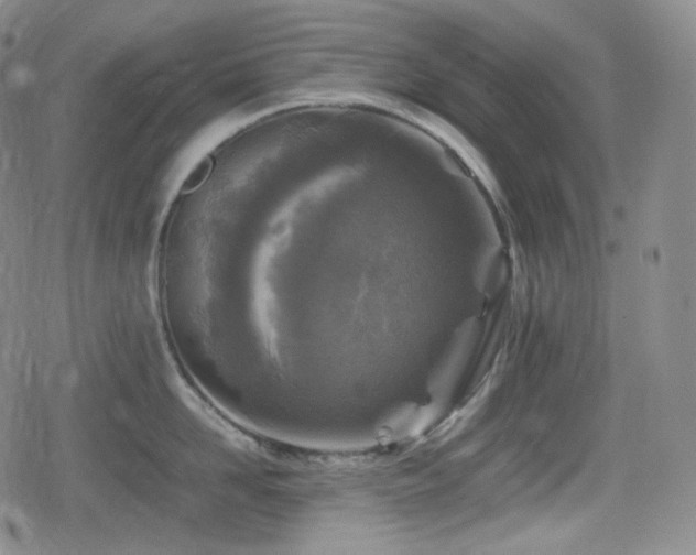X0000080160958200612081332