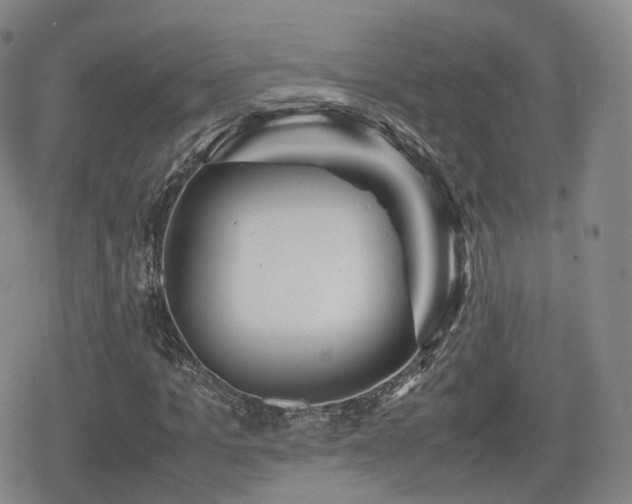 X0000080160965200612081331