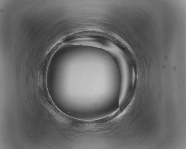 X0000080160969200612081331