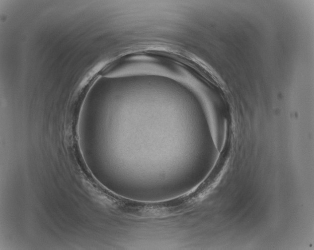 X0000080160977200612081331