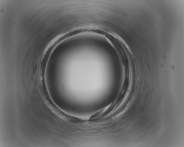X0000080160981200612081331
