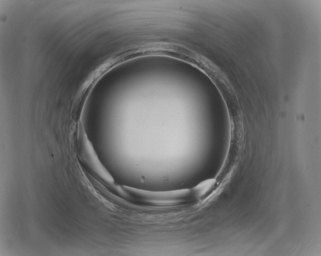 X0000080160985200612081331