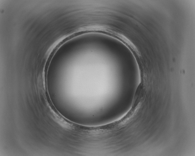 X0000080160988200612081331