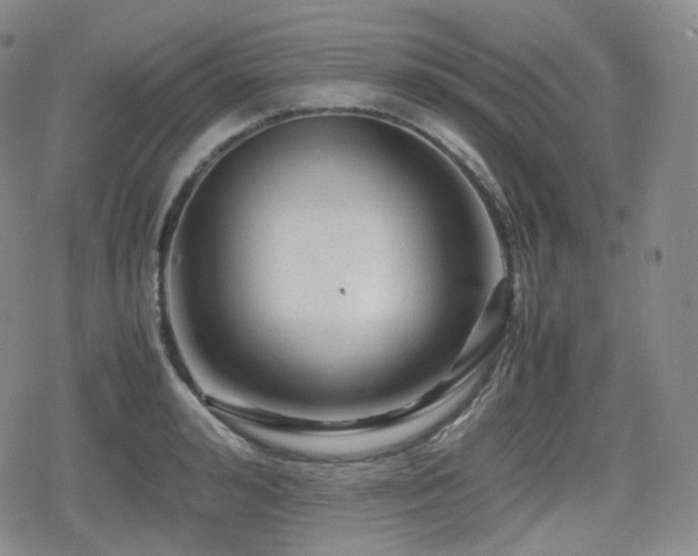 X0000080160992200612081331