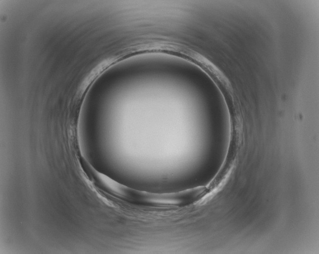 X0000080160993200612081331