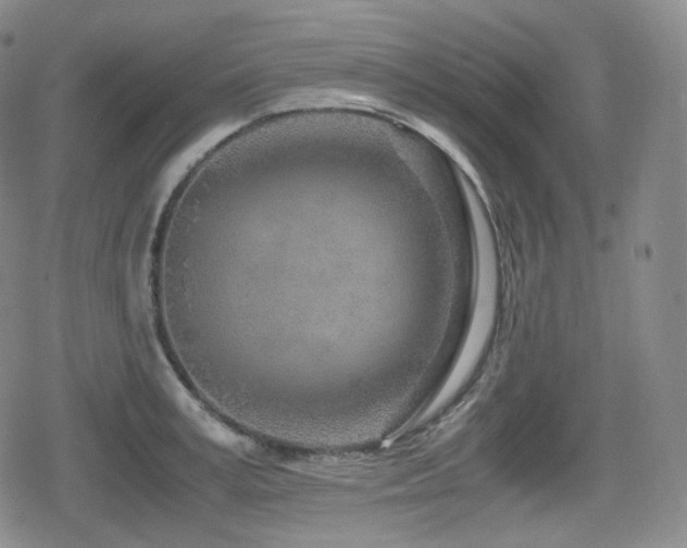 X0000080160995200612081331