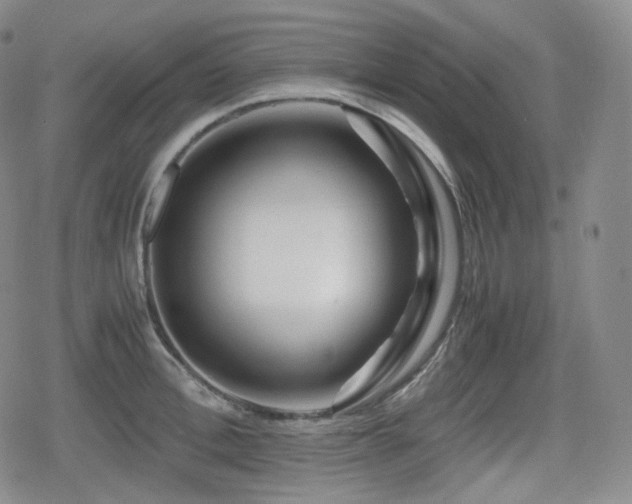 X0000080160996200612081331