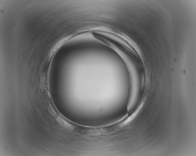 X0000080161001200612081331