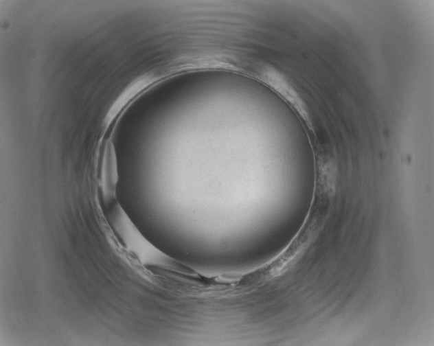 X0000080161002200612081331