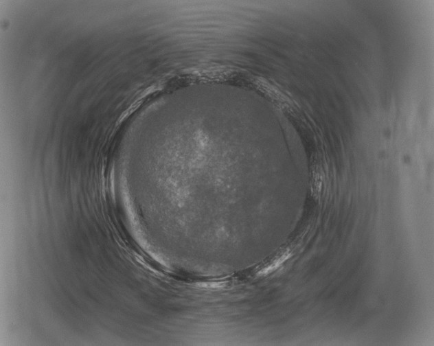 X0000080161010200612081330