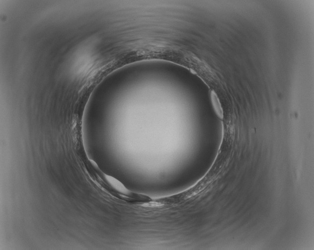 X0000080161012200612081330