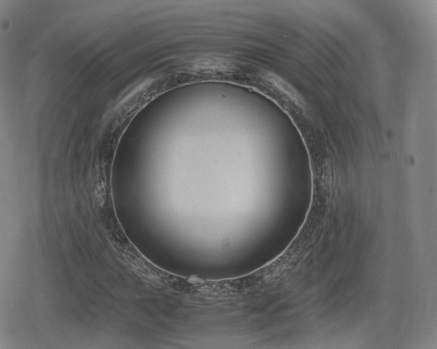 X0000080161015200612081330