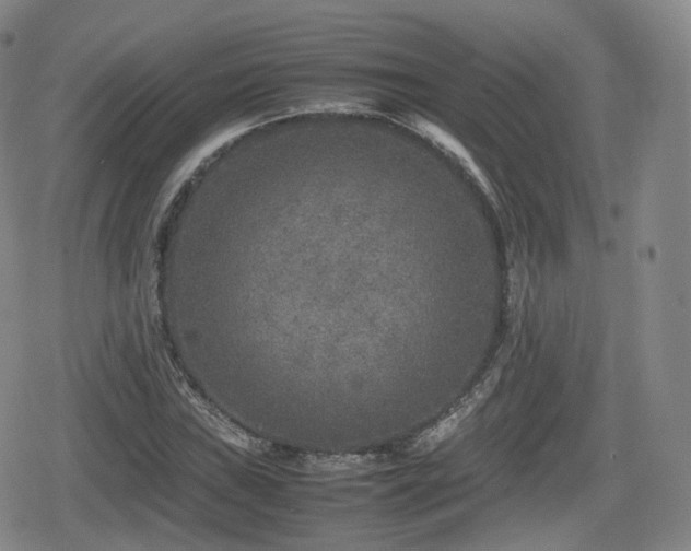 X0000080161019200612081330