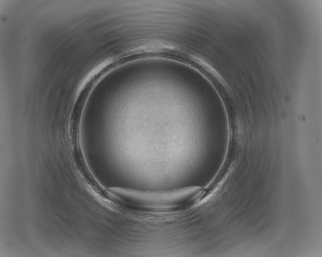 X0000080161026200612081330