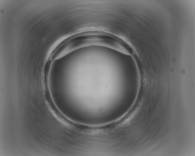 X0000080161030200612081330