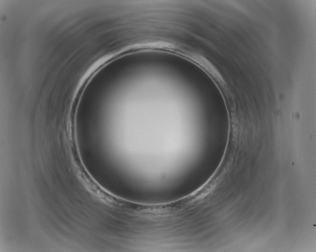 X0000080161044200612081330