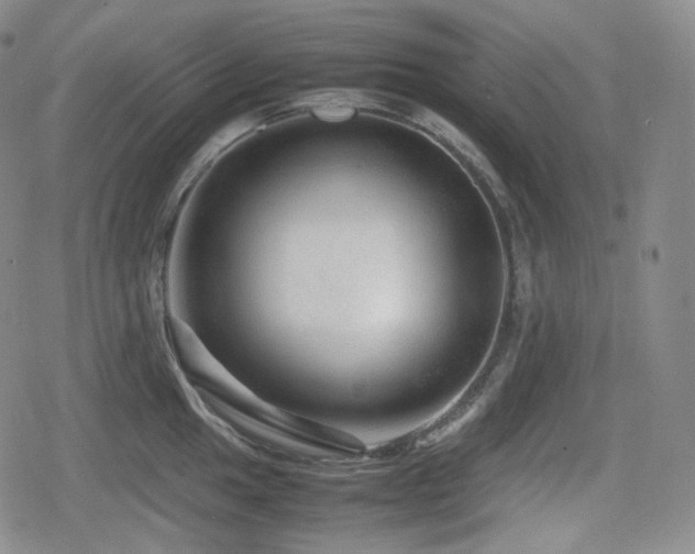 X0000080161049200612081330
