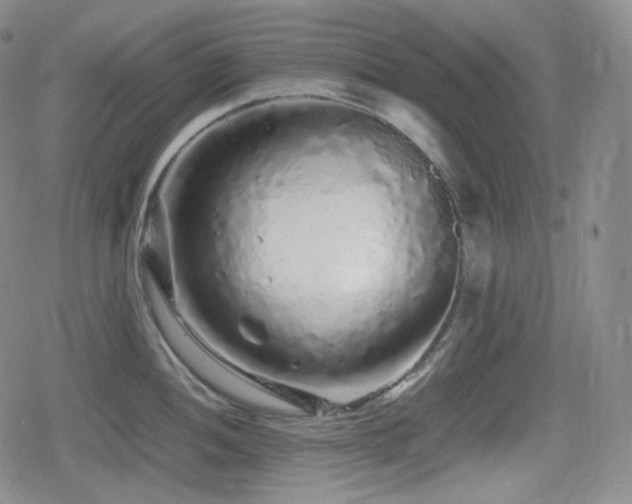 X0000080161052200612081330
