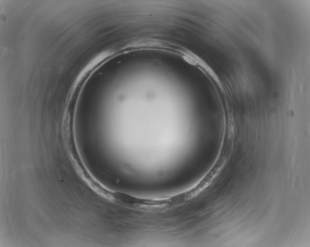 X0000080161053200612081330