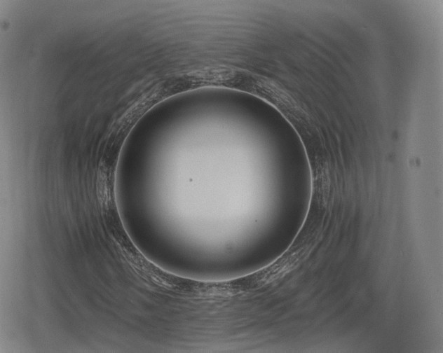X0000080161058200612081330