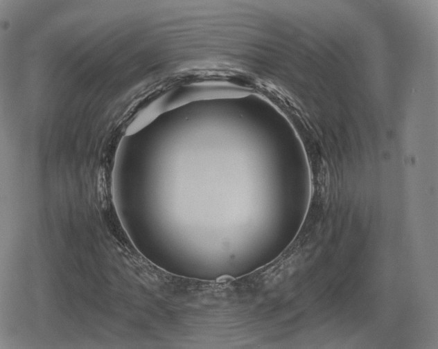 X0000080161062200612081330