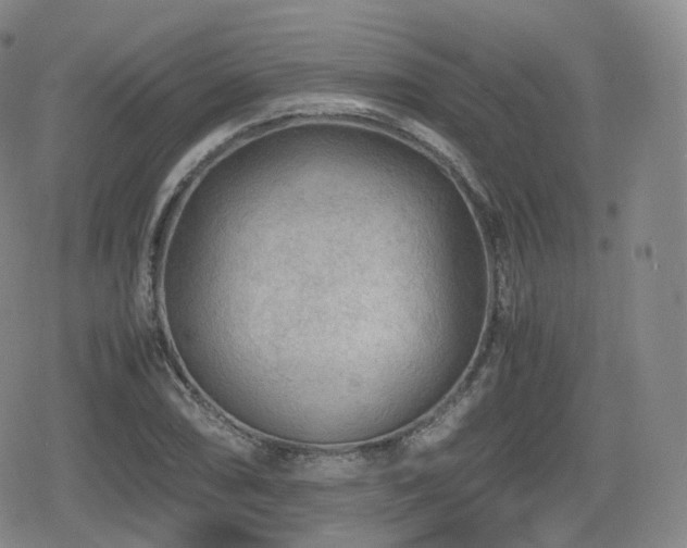 X0000080161074200612081329