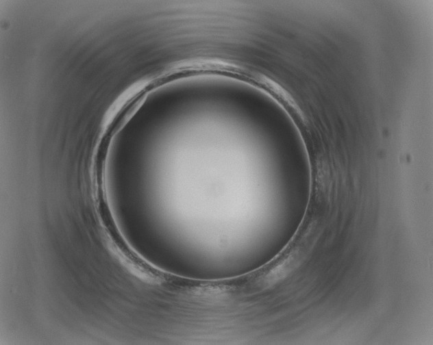 X0000080161082200612081329