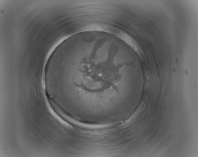 X0000080161084200612081329