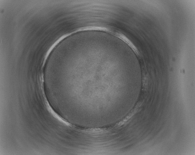 X0000080161092200612081329