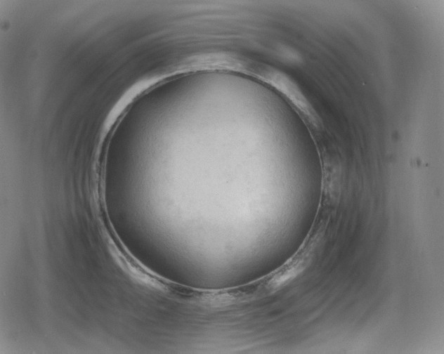 X0000080161094200612081329
