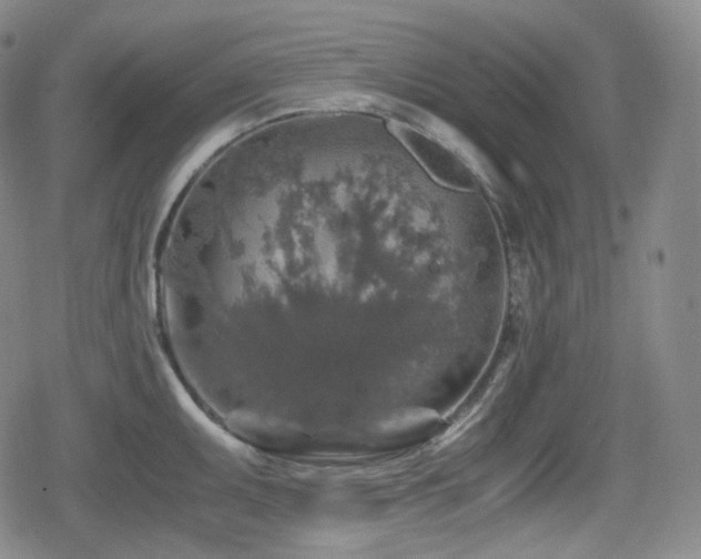 X0000080161095200612081329