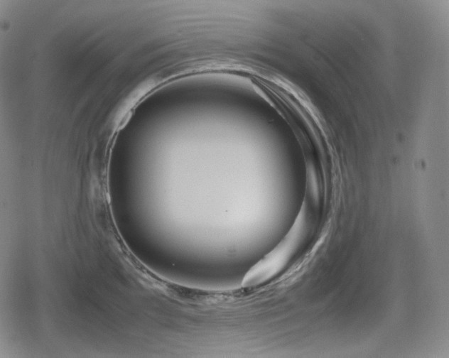 X0000080161097200612081329