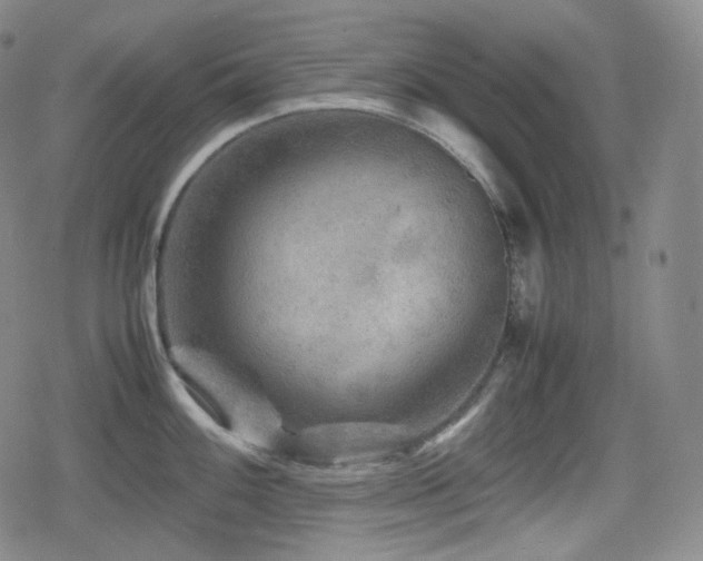 X0000080161100200612081329