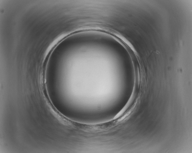 X0000080161101200612081329