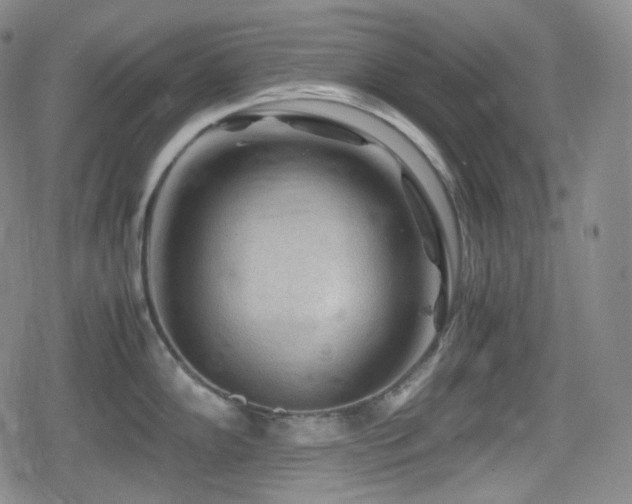 X0000080161102200612081329